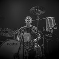 GutterPunk - Professional Concert Photography